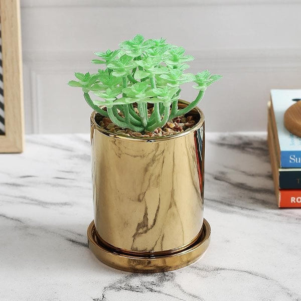 Buy Faux Crassula In Pot With Coaster - 15.5 cms Artificial Plants from Vaaree