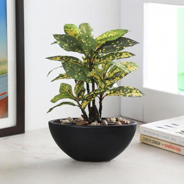 Buy Faux Croton Bonsai In Bowl Pot (29 cms) - Yellow Artificial Plants from Vaaree