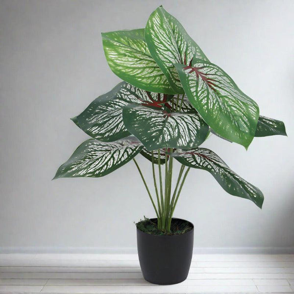 Buy Faux Deco Aglonema Silk Plant With Pot - 55 cms Artificial Plants from Vaaree