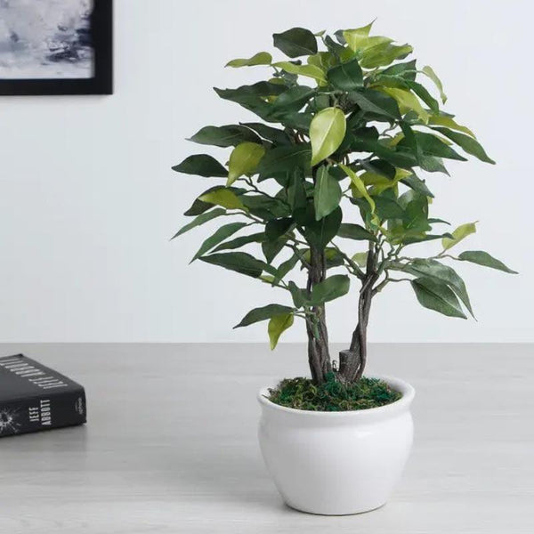 Buy Faux Ficus Bonsai In Round Pot (33 cms) - Green Artificial Plants from Vaaree