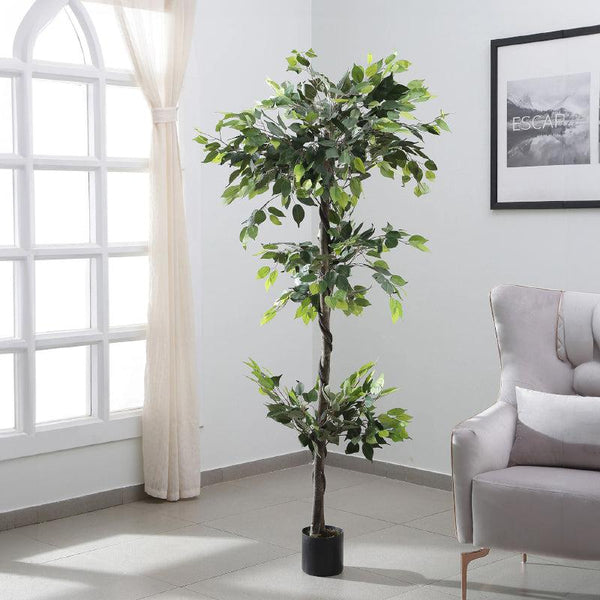 Buy Faux Ficus Tree With Pot - 5.91 ft Artificial Plants from Vaaree