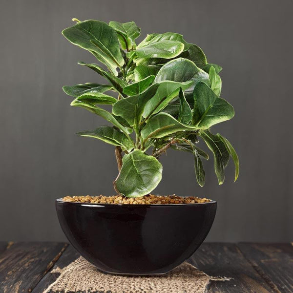 Buy Faux Fiddle Bonsai In Bowl Pot - 29 cms Artificial Plants from Vaaree