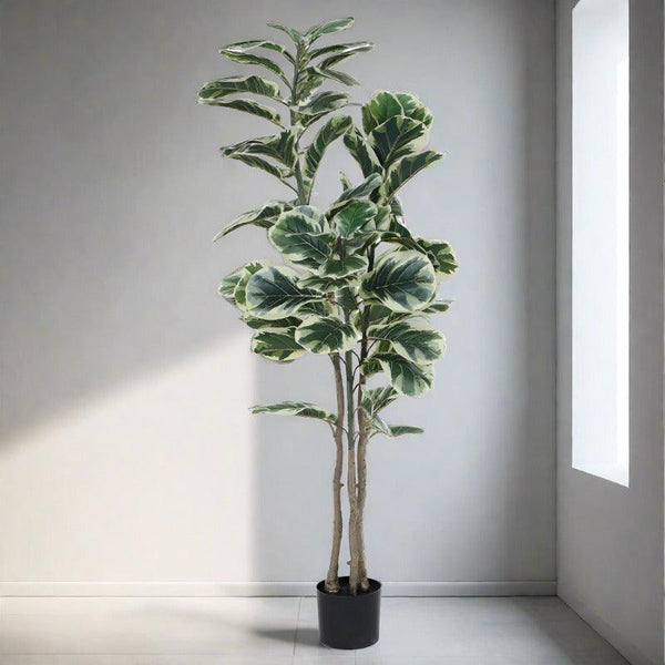 Buy Faux Fiddle Leaf Fig Plant With Pot - 4.92 ft Artificial Plants from Vaaree