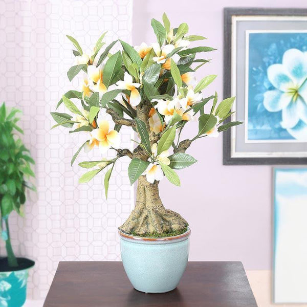 Buy Faux Frangipani Bonsai In Ceramic Pot (2.07 ft) - White Artificial Plants from Vaaree