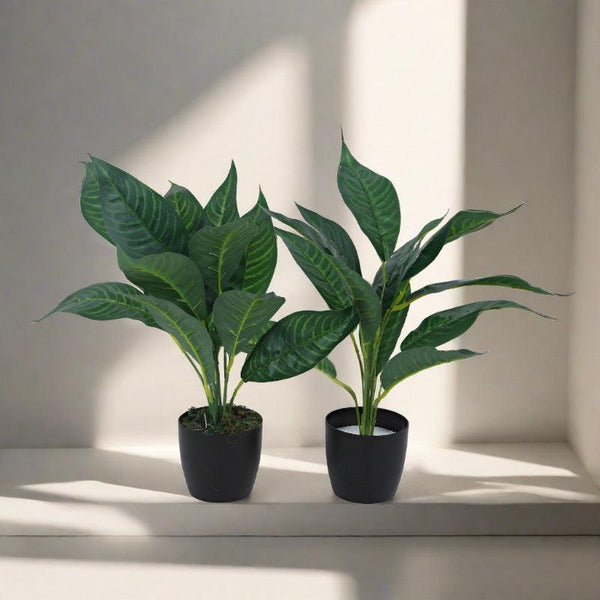 Buy Faux Green Croton Plant With Pot (50 cms) - Set Of Two Artificial Plants from Vaaree