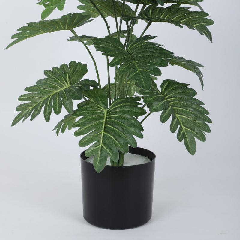 Buy Faux Horse Head Philodendron Plant With Pot - 2.13 ft Artificial Plants from Vaaree