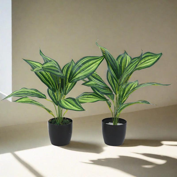 Buy Faux Leopard Lily Plant With Pot (50 cms) - Set Of Two Artificial Plants from Vaaree