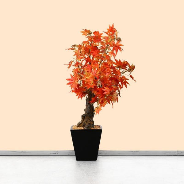 Buy Faux Maple Bonsai In Cone Pot (2.2 ft) - Red Artificial Plants from Vaaree