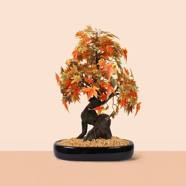 Buy Faux Maple Bonsai In Tray Pot (41 cms) - Orange Artificial Plants from Vaaree