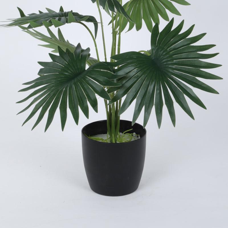 Buy Faux Mini Tropical Palm Plant With Pot - 55 cms Artificial Plants from Vaaree