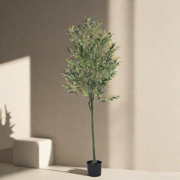 Buy Faux Olive Tree Plant With Pot - 4.92 ft Artificial Plants from Vaaree