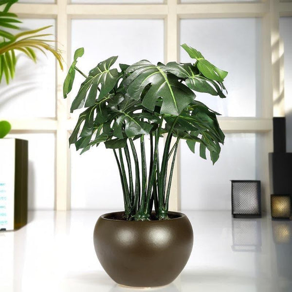 Buy Faux Philodendron Bonsai In Ceramic Pot - 37 cms Artificial Plants from Vaaree