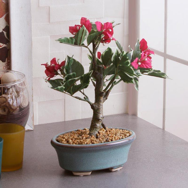 Buy Faux Pink Bougainvillea Bonsai (24 cms) - Big Artificial Plants from Vaaree