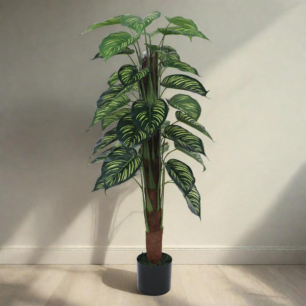 Buy Faux Pola Calatheas Plant With Pot - 2.95 ft Artificial Plants from Vaaree