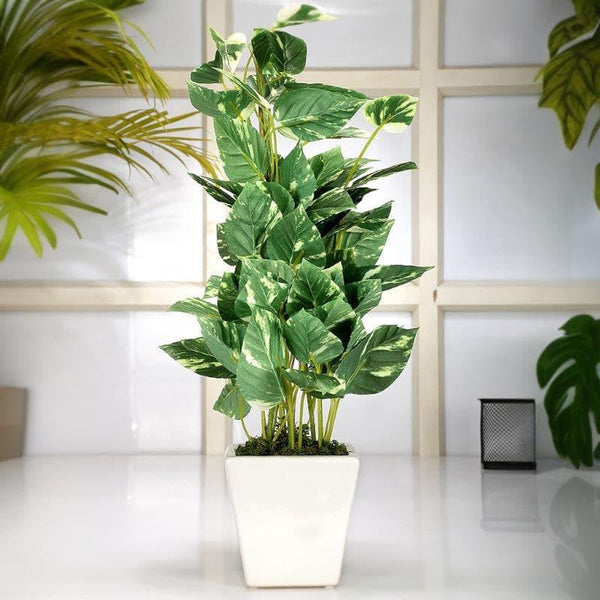 Buy Faux Pothos Bonsai In Cone Pot (50 cms) - Big Artificial Plants from Vaaree