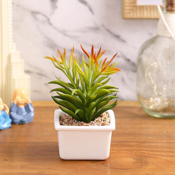 Buy Faux Senecio In White Pot - 16 cms Artificial Plants from Vaaree