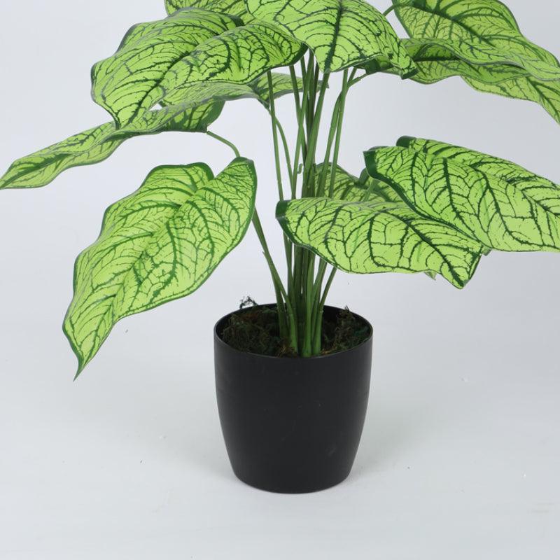 Buy Faux Silk Plant With Pot - 2.13 ft Artificial Plants from Vaaree