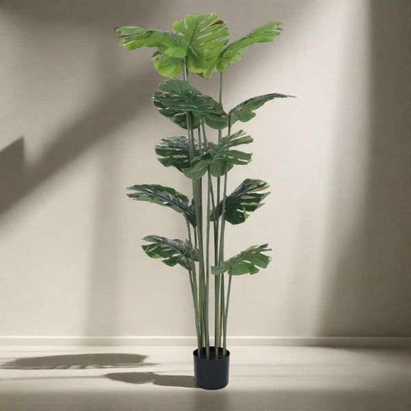 Buy Faux Tall Green Monstera Swiss Cheese Plant With Pot - 3.94 ft Artificial Plants from Vaaree