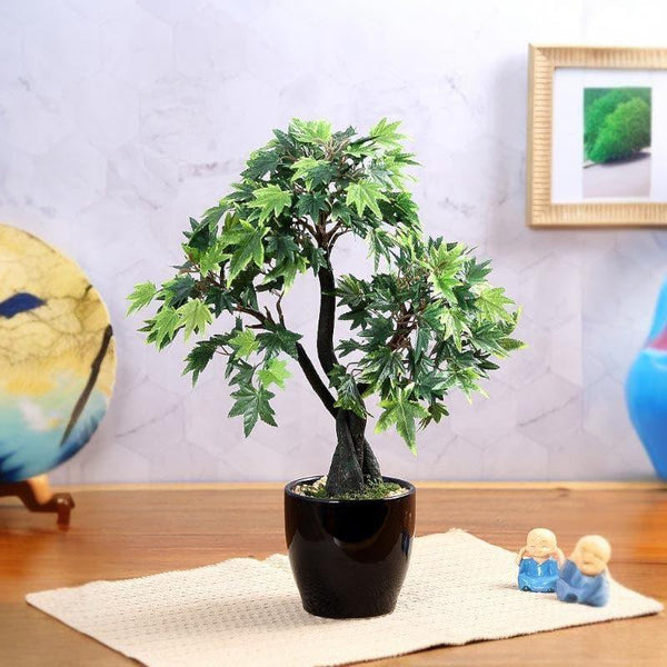 Buy Faux Tall Maple Bonsai (39 cms) - Green Artificial Plants from Vaaree