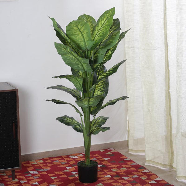 Buy Faux Tuftroot Diffenbachia Plant With Pot - 4.59 ft Artificial Plants from Vaaree