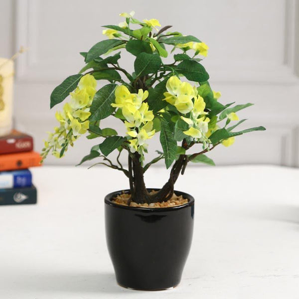 Buy Faux Wisteria Bonsai In Ceramic Pot (25 cms) - Yellow Artificial Plants from Vaaree