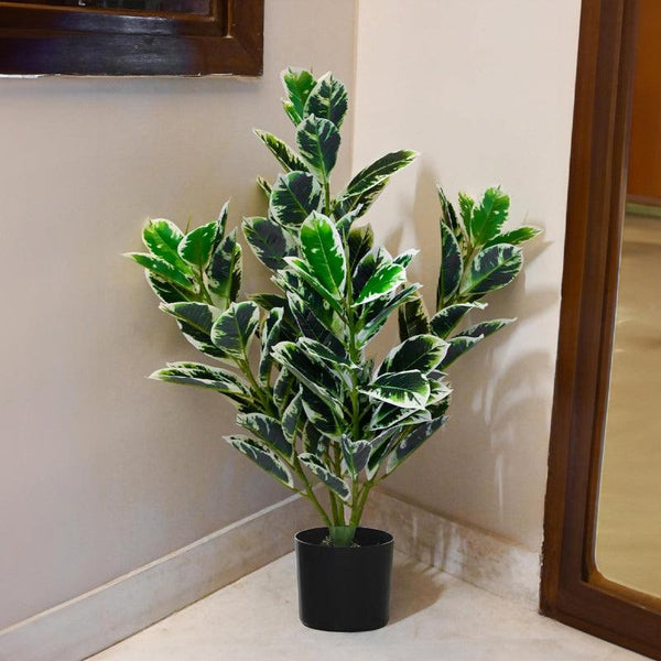 Buy Faux Zebra Plant With Pot - 2.79 ft Artificial Plants from Vaaree