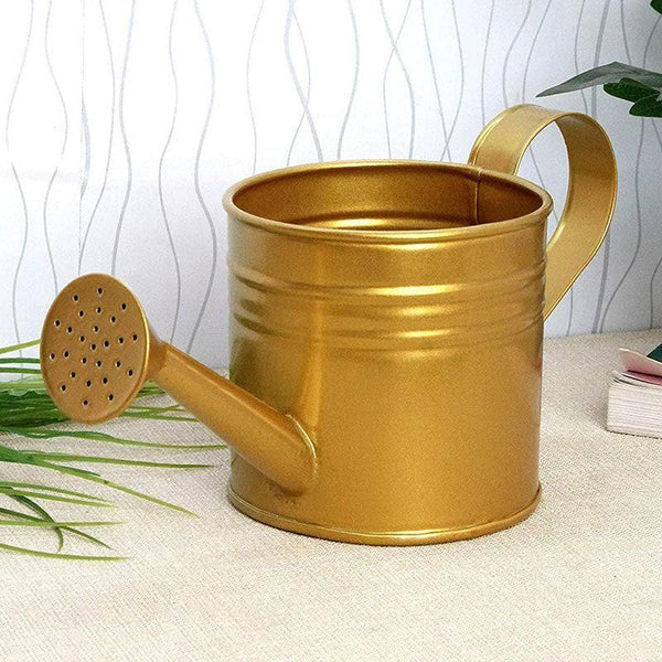 Buy The Iron Sprouter Water Can - Gold Garden Tools from Vaaree