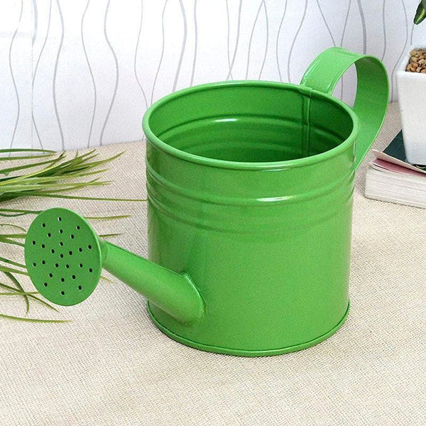 Buy The Iron Sprouter Water Can - Green Garden Tools from Vaaree