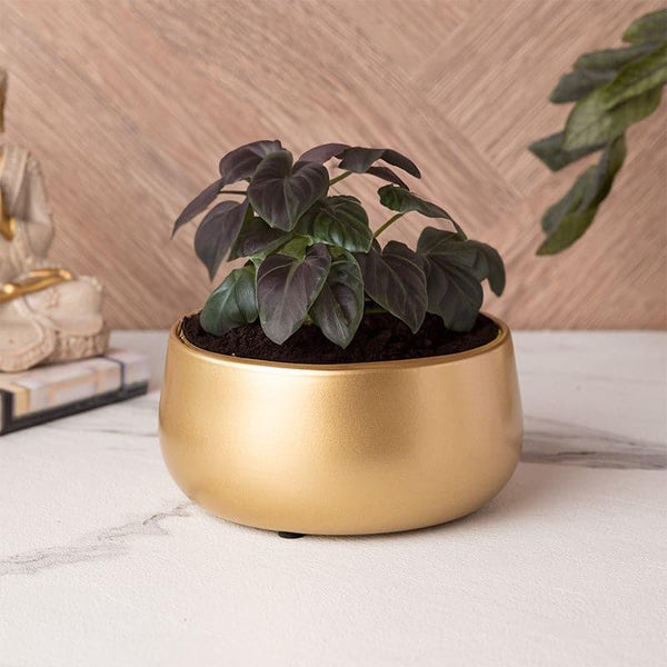 Buy Bram Metal Pot Pots & Planters from Vaaree