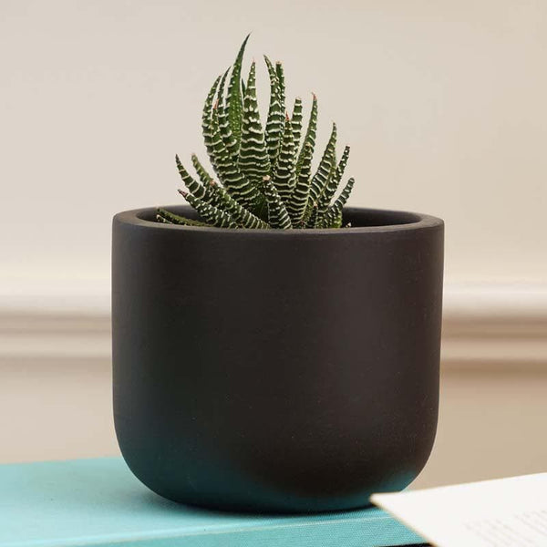 Buy Oh-So Cute Planter- Black Pots & Planters from Vaaree