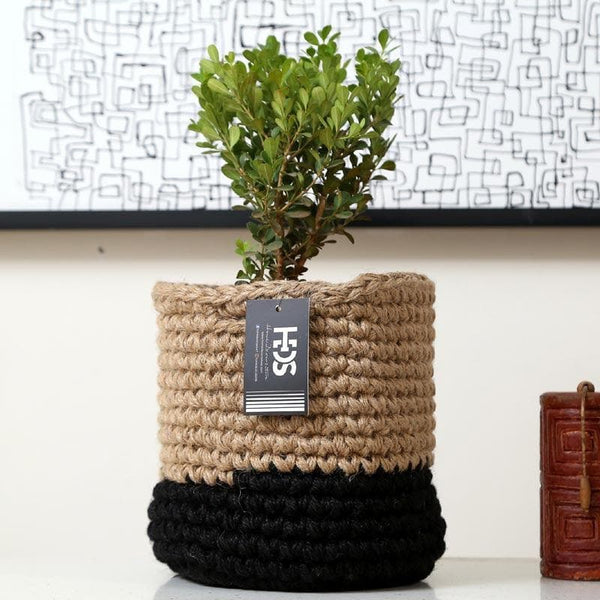 Buy Serene Sanctuaries Jute Planter Pots & Planters from Vaaree