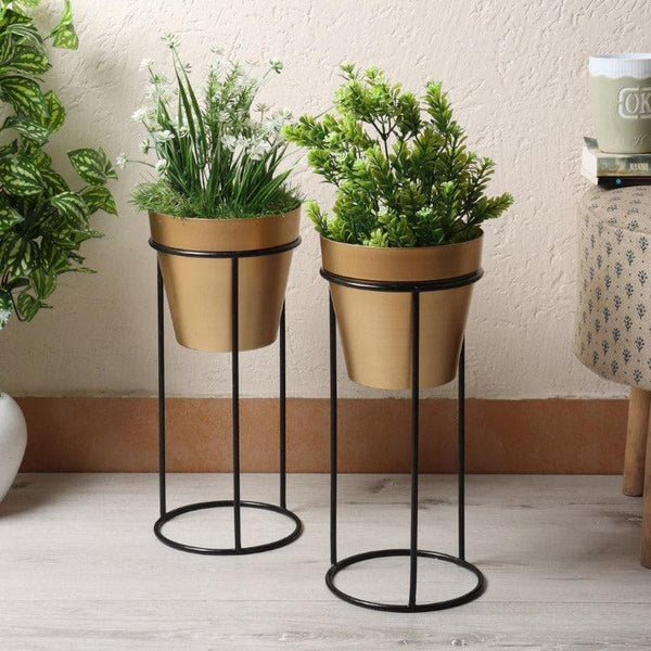 Buy Tiyara Floor Planter - Set Of Two Pots & Planters from Vaaree