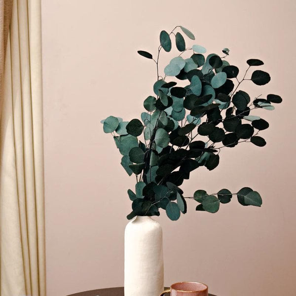 Buy Mesora Vase With Million Dollar Eucalyptus Bunch Vase from Vaaree