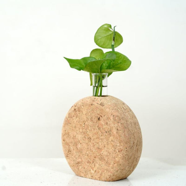 Buy Sona Cork Testube Planter Vase from Vaaree