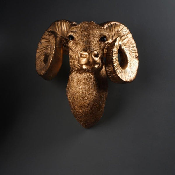 Buy Ramzie Ram Head Wall Mounted Showpiece Wall Accents from Vaaree