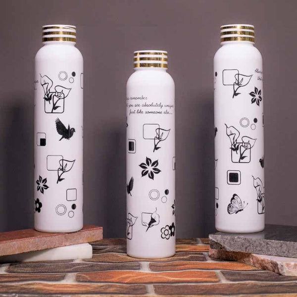 Buy Doodle Chat Water Bottle - Set Of Three Bottle from Vaaree