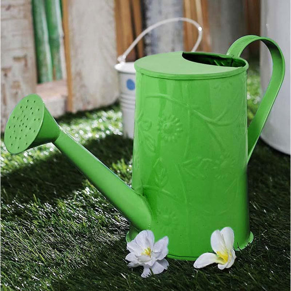 Buy Green Punk Watering Can Garden Tools from Vaaree