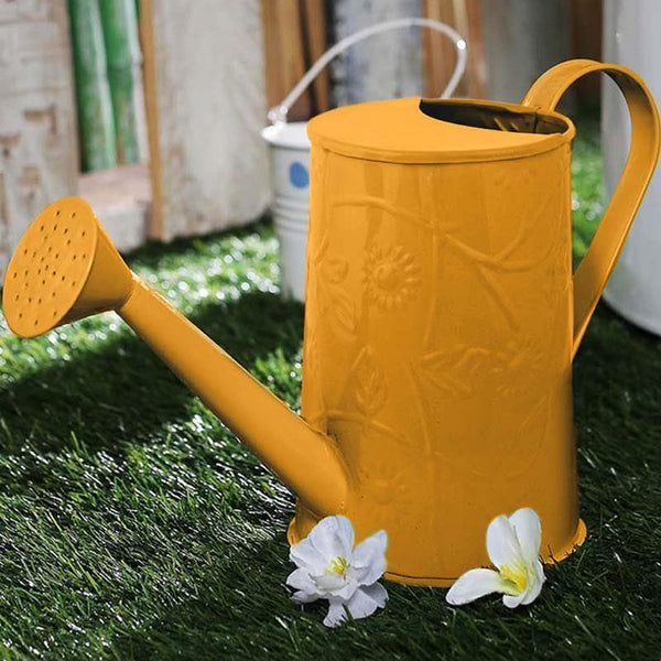 Buy Orange Punk Watering Can Garden Tools from Vaaree