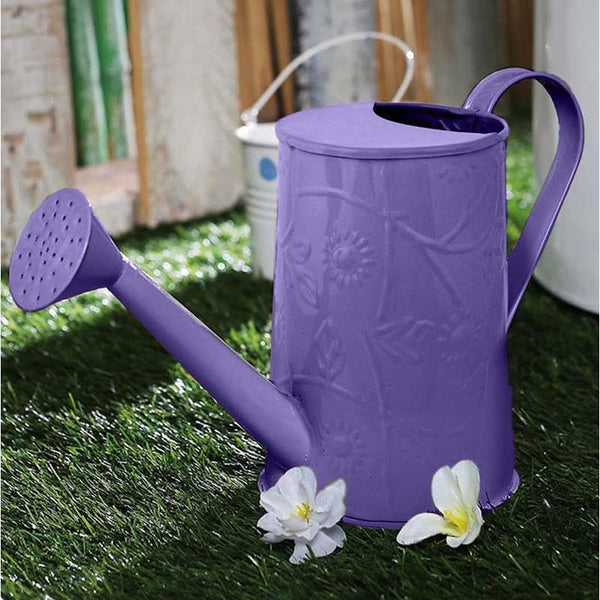 Buy Purple Punk Watering Can Garden Tools from Vaaree