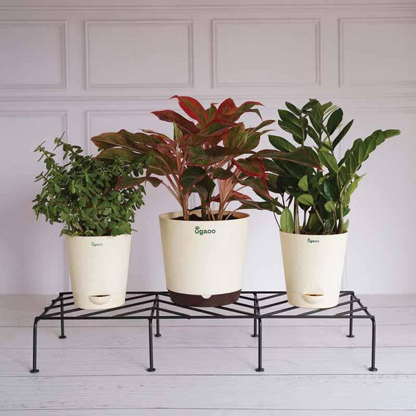 Buy UGAOO Rectangular Flower Pot Stand (Black)- Set Of Four Planter Stand from Vaaree