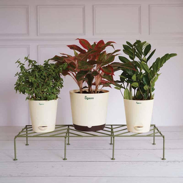 Buy UGAOO Rectangular Flower Pot Stand (Green)- Set Of Four Planter Stand from Vaaree