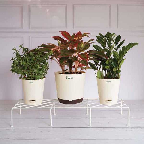 Buy UGAOO Rectangular Flower Pot Stand (White)- Set Of Four Planter Stand from Vaaree