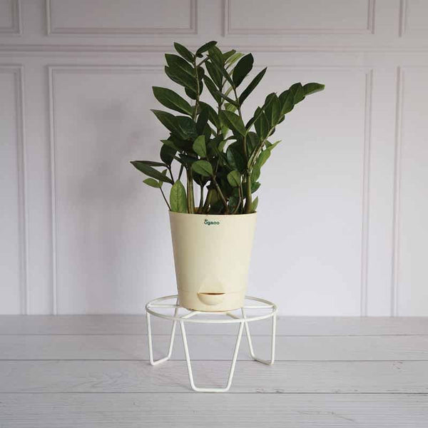 Buy UGAOO Round Flower Pot Stand (White)- Set Of Eight Planter Stand from Vaaree