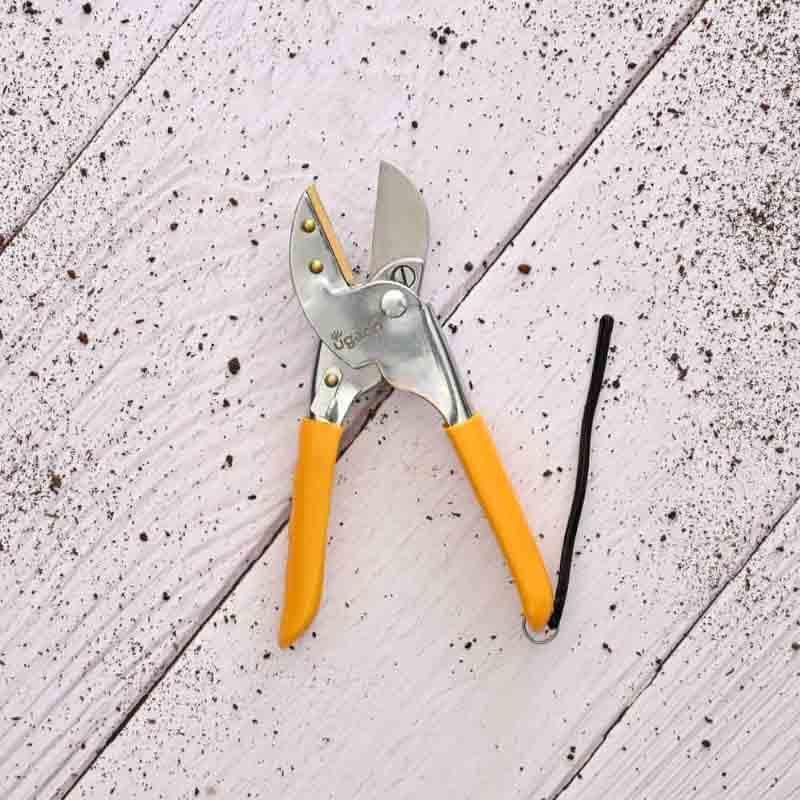 Buy UGAOO Gardening Heavy Duty Anvil Pruner Garden Tools from Vaaree