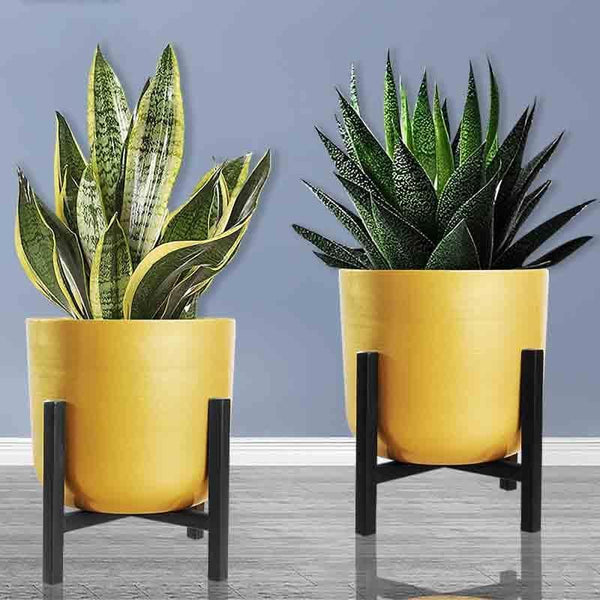 Buy Goldie Planter With Stand - Set Of Two Pots & Planters from Vaaree