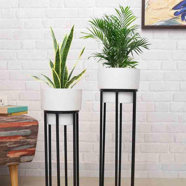 Buy Whimsy Planter With Stand - Set Of Two Pots & Planters from Vaaree