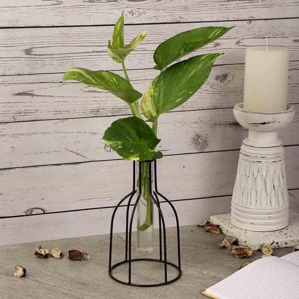 Buy Tracey Testube Outline Planter Vase from Vaaree