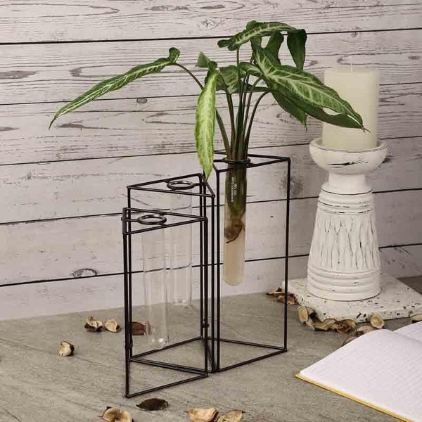 Buy Trigonometry Testube Planter Vase from Vaaree